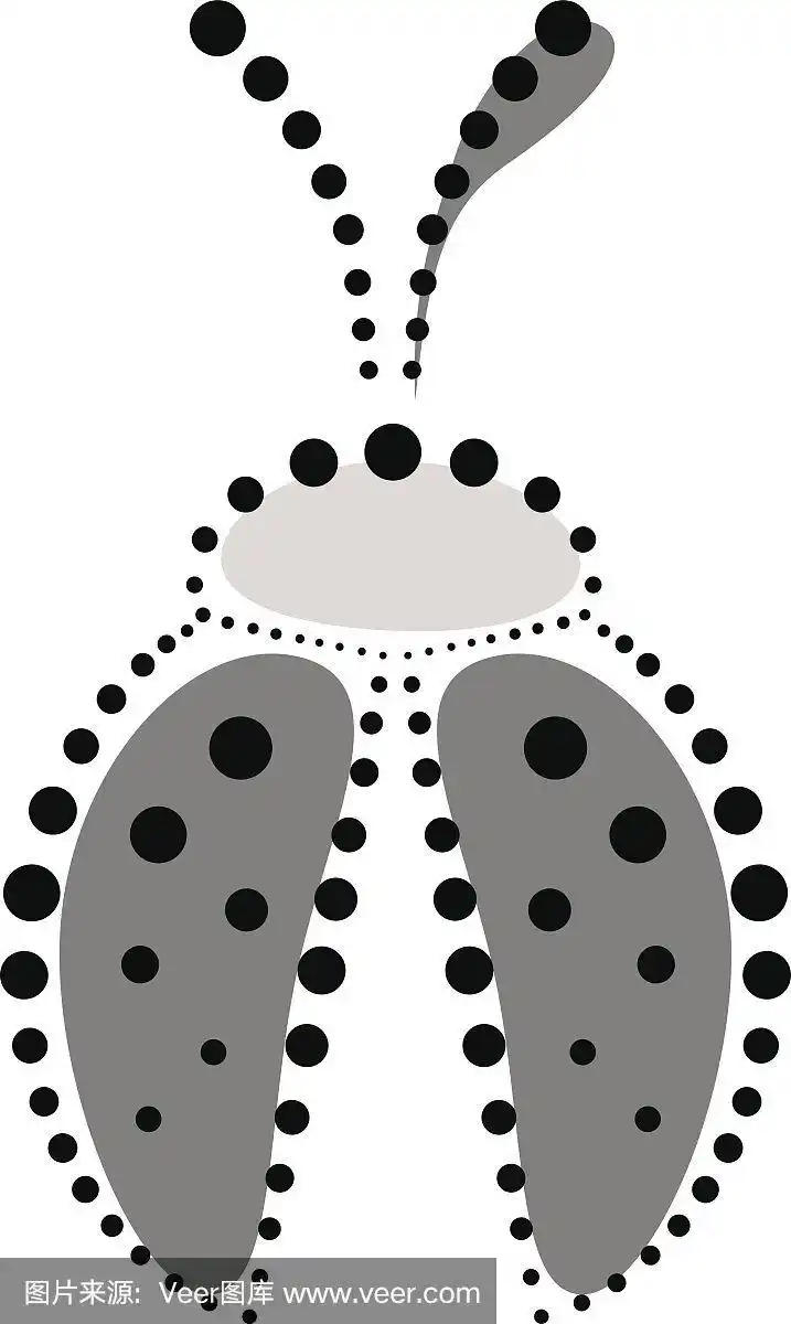 昆虫矢量图.具有点的装饰装饰黑灰色瓢虫的图标,孤立在白色的背景