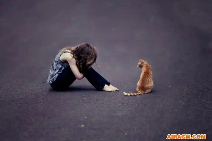 身体蜷住的忧伤