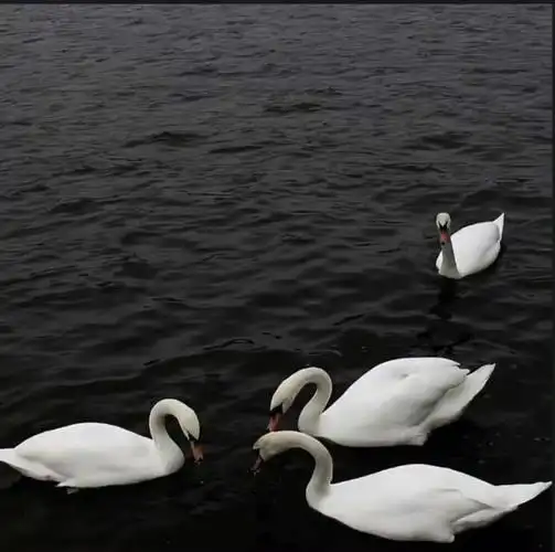 ins背景图暗黑系