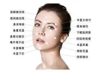 相术之旺夫的女人面相