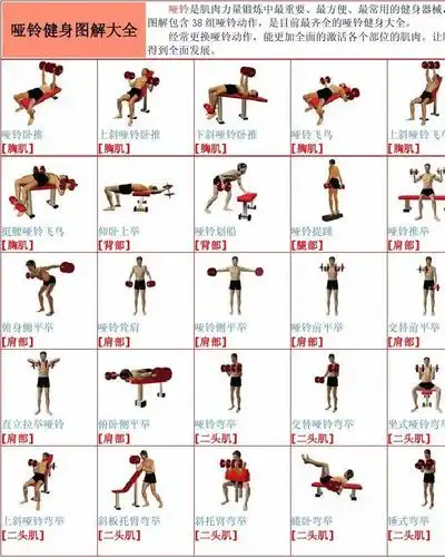 哑铃健身图解大全