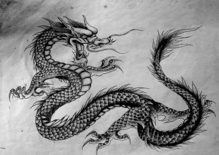 龙的素描画图片龙的素描画图片高清