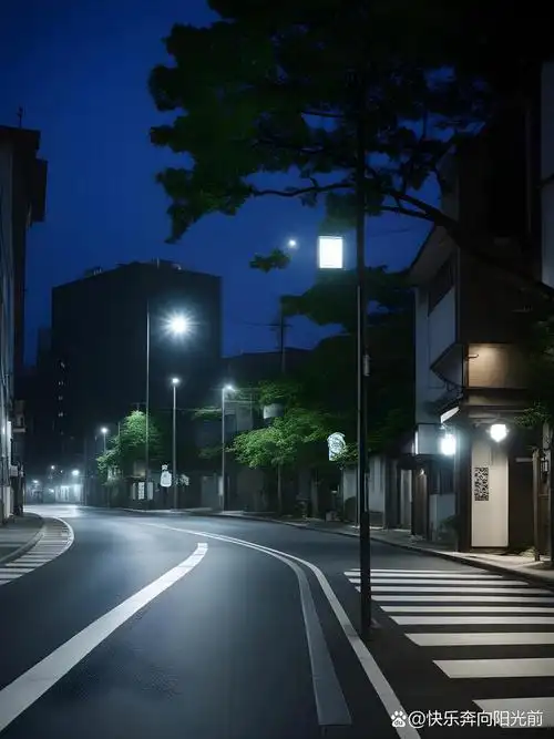 深夜的你,是我心灵的寄托,陪伴我度过孤独的时刻.