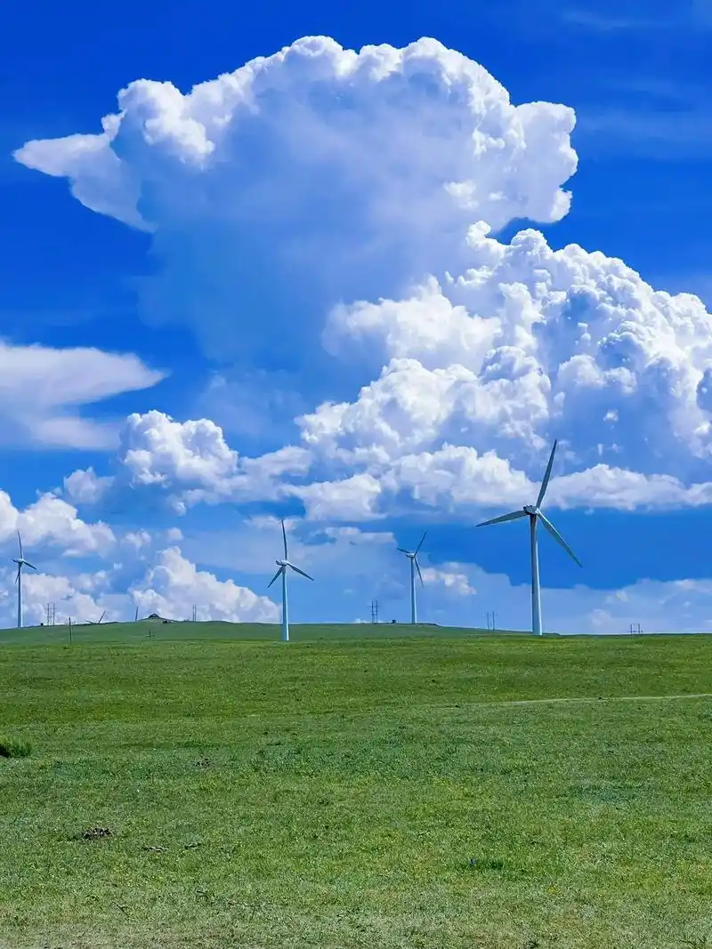 蓝天白云绿草地这风景太美了 #在内蒙古草原感受慢生活 #治 - 兑趑