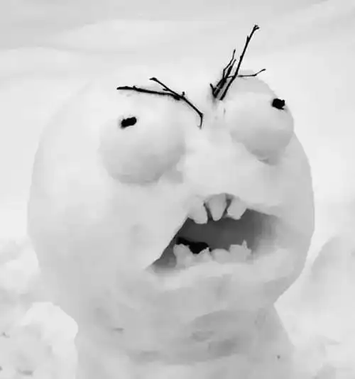 哪个狠人堆的雪人, 南方人表示不服, 网友笑到抽抽