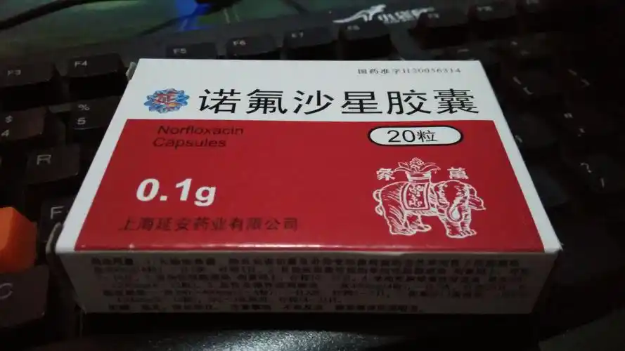 请问这个药(诺氟沙星胶囊)是治什么的?一般都是什么人群使用?