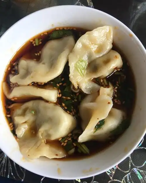 一袭青衫007做的酸汤水饺