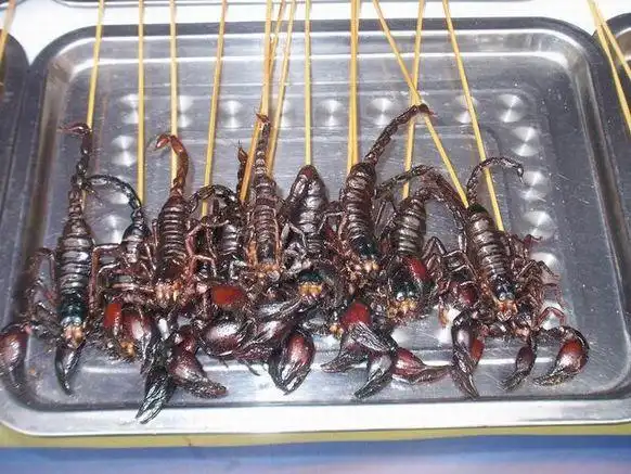 蝎子可是美味,记得以前饭店里卖的很贵,灰常好吃跟海鲜一样的味道.