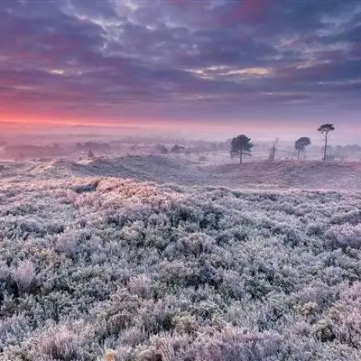 2020好看的意境风景微信头像,冬季雪景