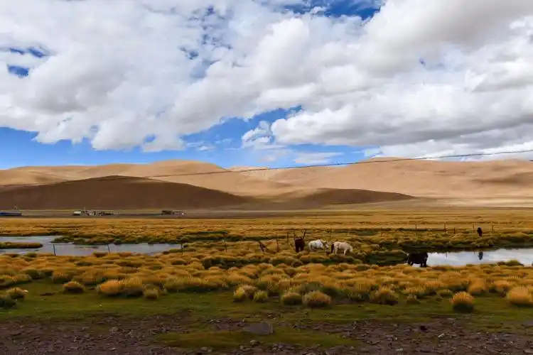 穿越羌塘无人区