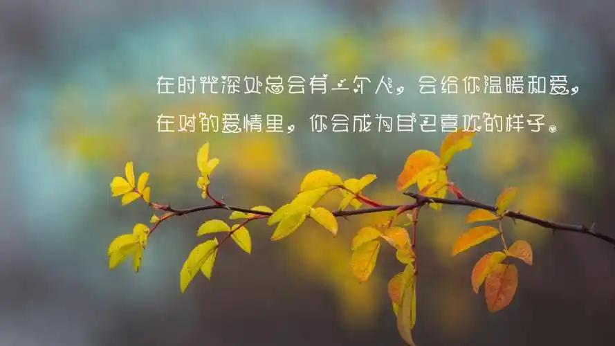 关于美好人生的心情说说治愈句子图片,高清壁纸图片,非主流-回车桌面