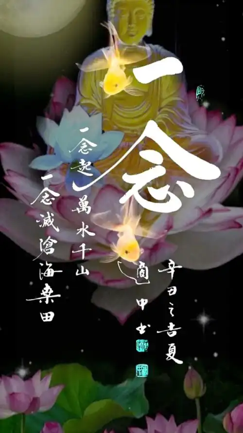 心如莲花,各修各得,阿弥陀佛