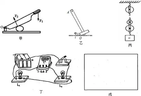 (1)作出图甲的铡刀使用中的两个力臂,并标明l1和l2.