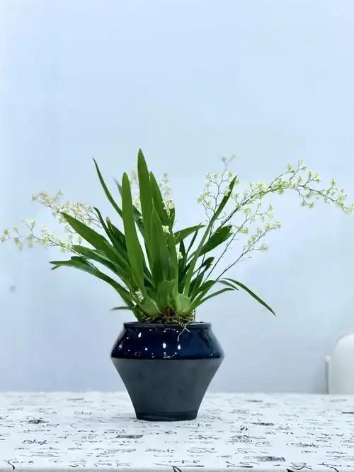 不住一定要带回店里,待到慢慢花开奶油香四溢的时候整个78都柔软了