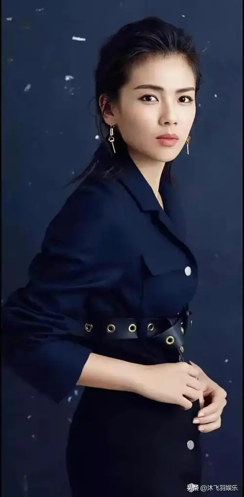 刘涛迷人美图成熟女人味真的太美了