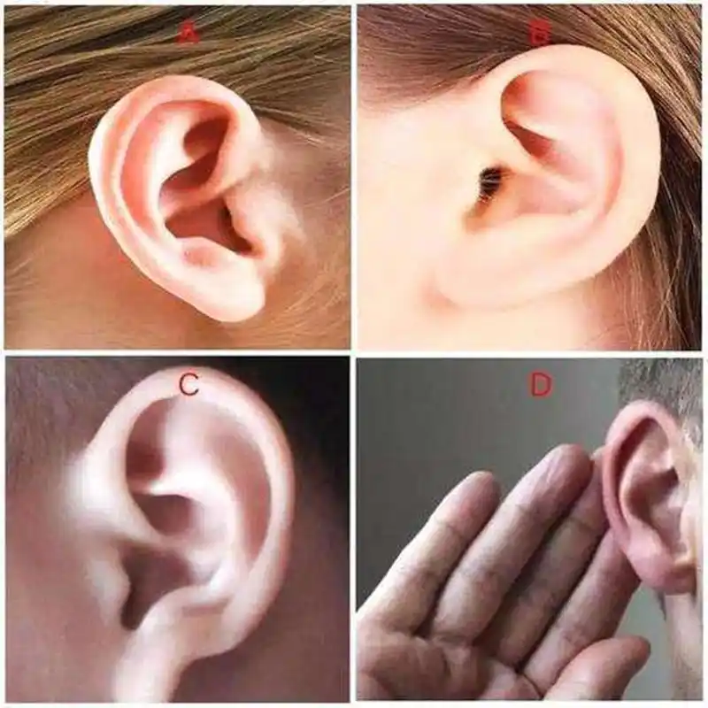听听专家怎么说_耳朵