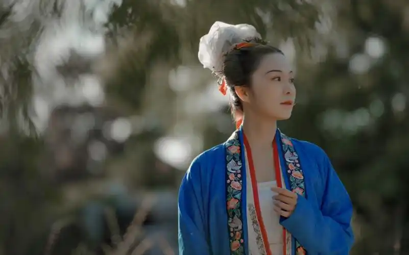 汉服造型-大宋珍珠包髻