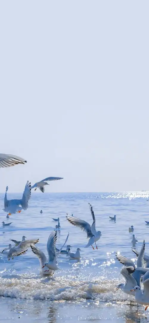 高清风景治愈系手机壁纸