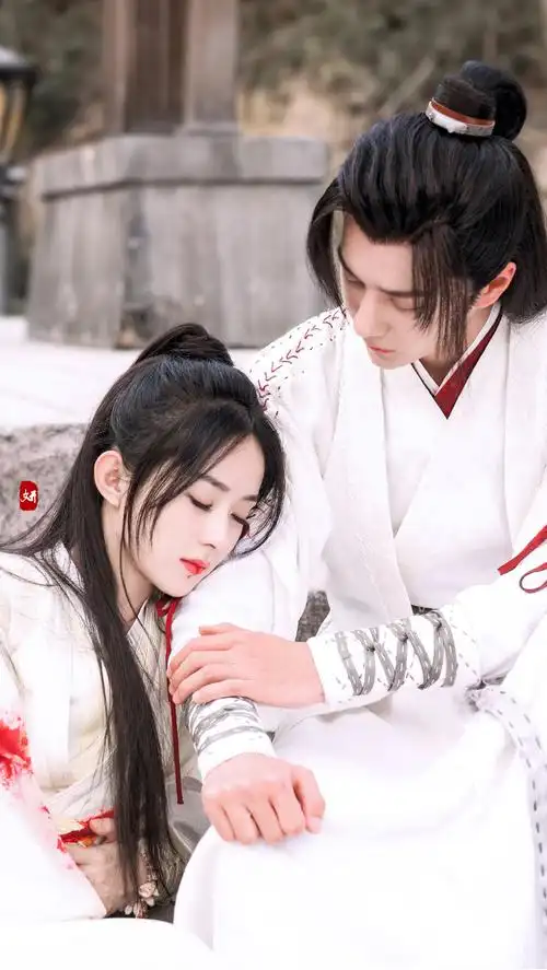 有翡|赵丽颖x王一博