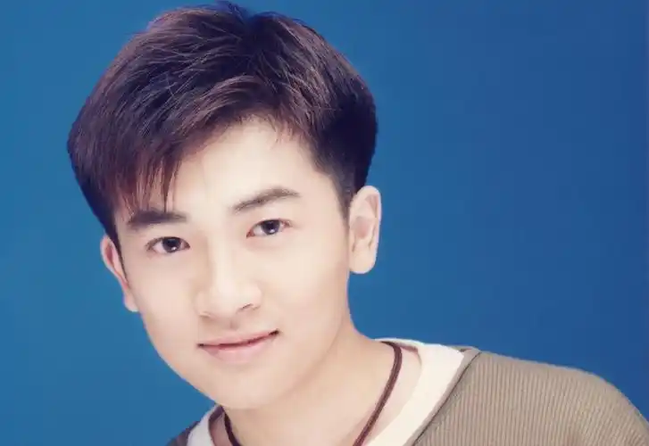 好帅,1993年苏有朋青涩的现场演唱,还是乖乖虎的模样