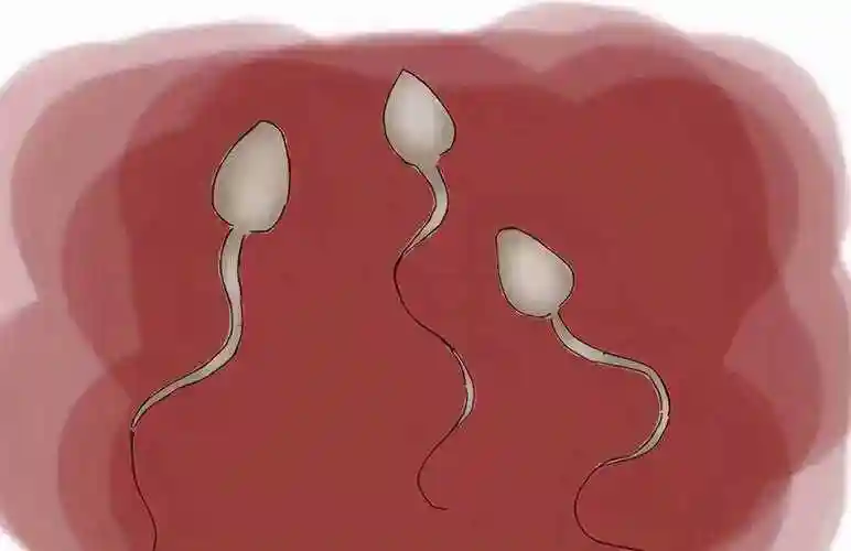 精液是什么男人的精子什么颜色是正常的