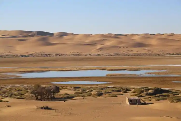 p> b>阿拉善腾格里沙漠天鹅湖: /b> /p> p>在这苍天般金色沙海之间