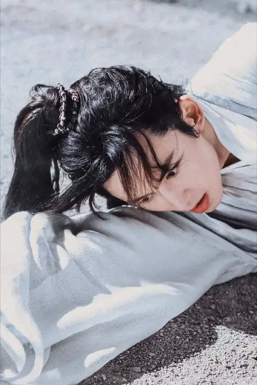 山河令  |  周子舒  |  阿絮