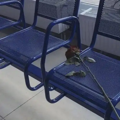 每日一图##朋友圈背景图