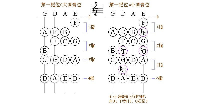 音乐 小提琴第一把位指法 小提琴第一把位指法 f g 5 全 全 a 6 全 b
