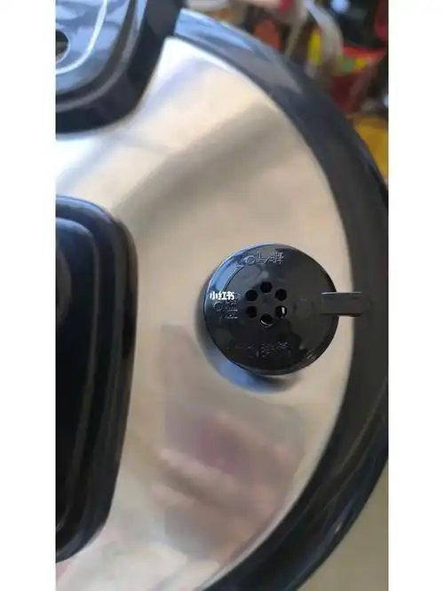 电压力锅排气阀