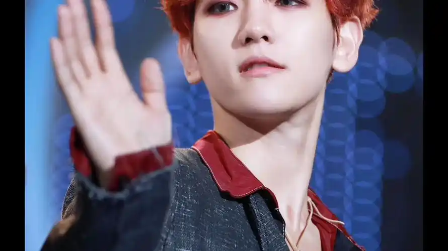 边伯贤之橙光大佬必用图