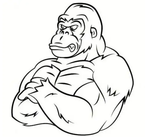 金刚的简笔画 金刚的简笔画怎么画