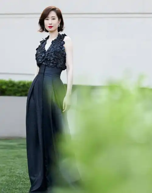 刘敏涛深v礼服裙秀好身材 笑容优雅淡定