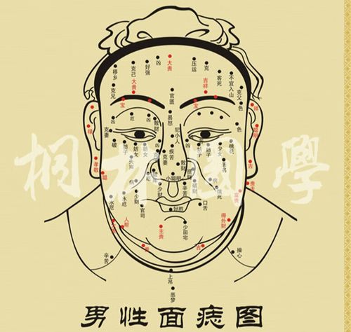 创京懿选面痣图 面相图 男女面痣图 男面痣图 美容院装饰画260 男面痣