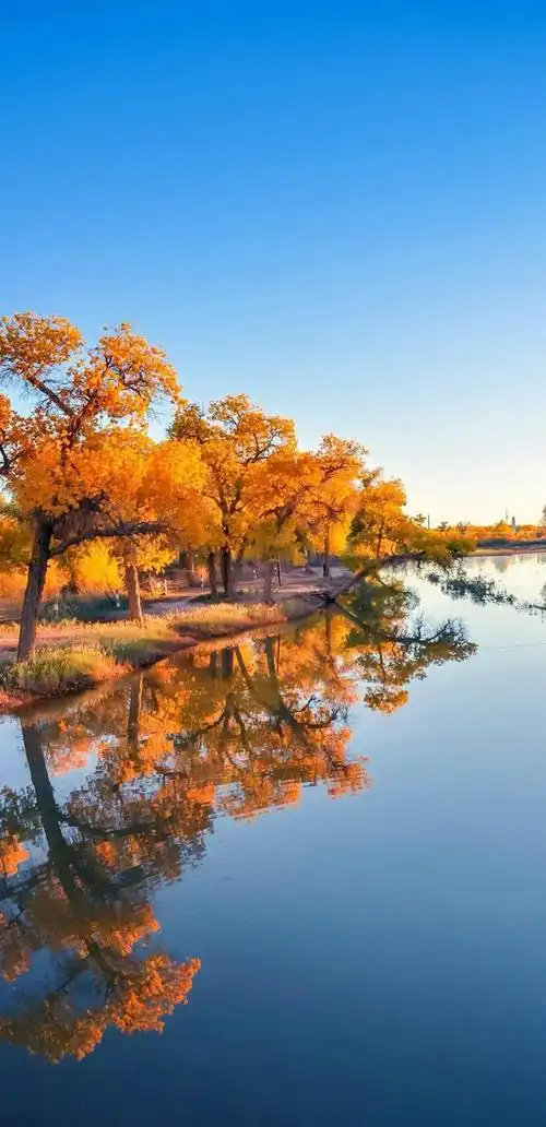 全面屏高清唯美壁纸