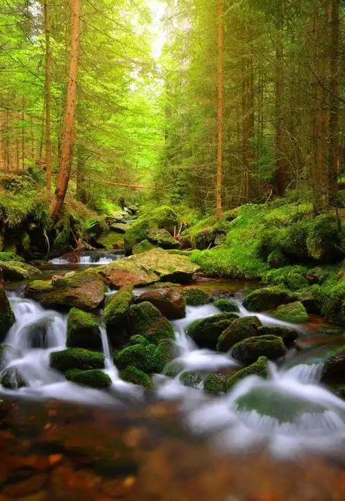 漂亮的风景图 漂亮的风景图片最美大自然