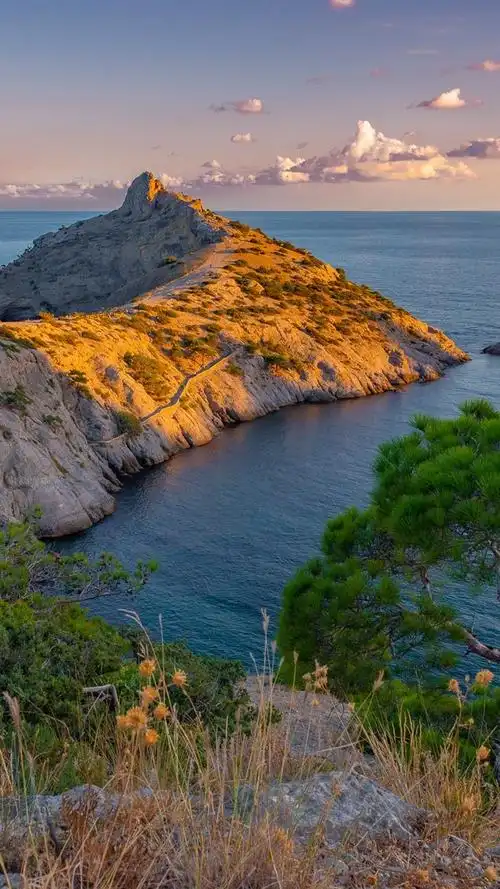 iphone 壁纸 海,海岸,树,自然风景