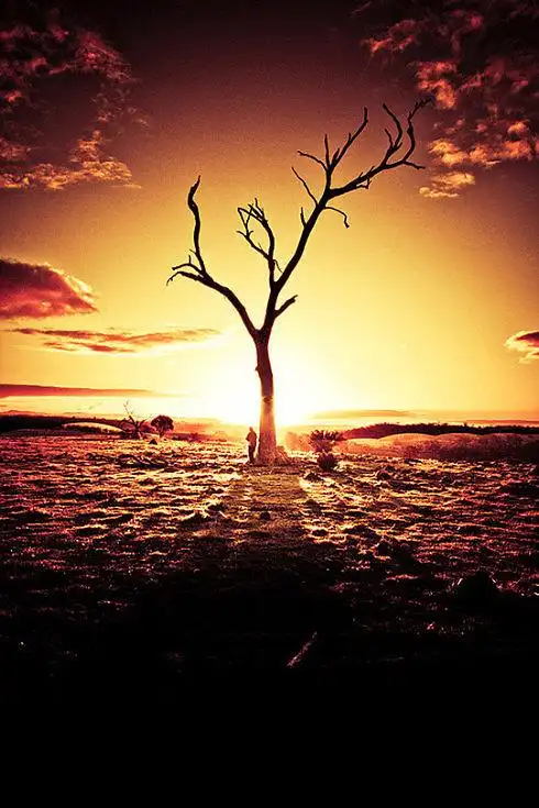 意境幽静梦幻风景图片 _ 图片网