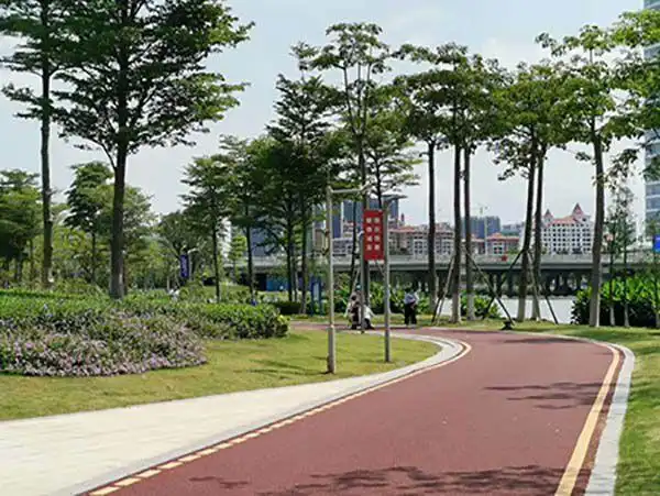 初探蕉门河碧道(谢东生)