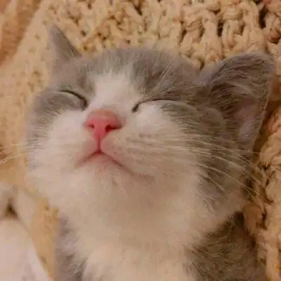 2019新版微信头像图片_qq头像_快手头像大全图片