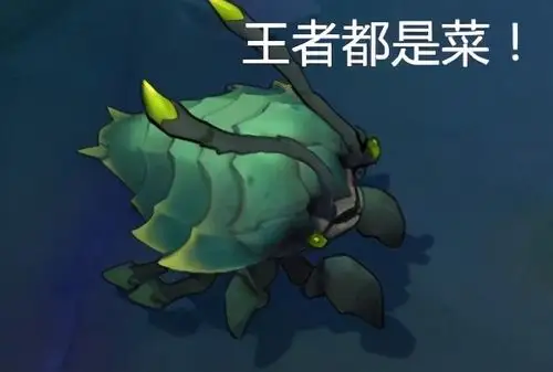 峰哥我也蒙了,心里一堆问号,反映了老半天,lol手游预示者是什么东西?