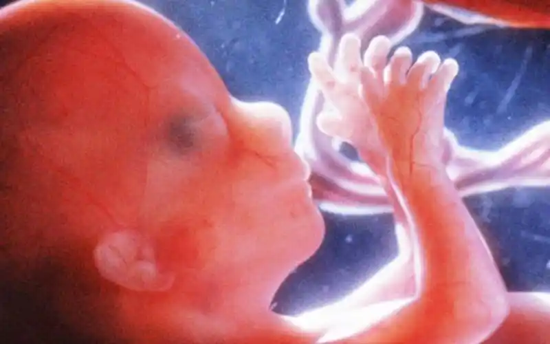 为什么你不记得小时候的事?