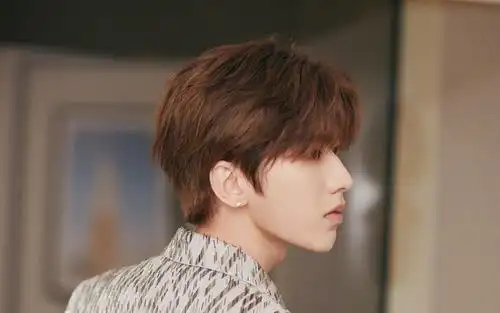 电脑壁纸 明星 大陆明星 小鲜肉蔡徐坤闪光条纹西装帅气迷人写真