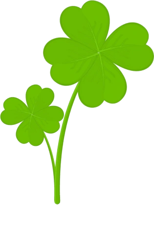 幸运草图片大全