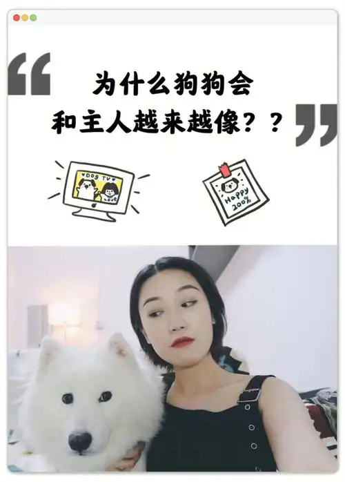 狗狗跟主人越长越像的原因居然是这个