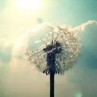 富有诗情画意的头像_微信头像图片大全