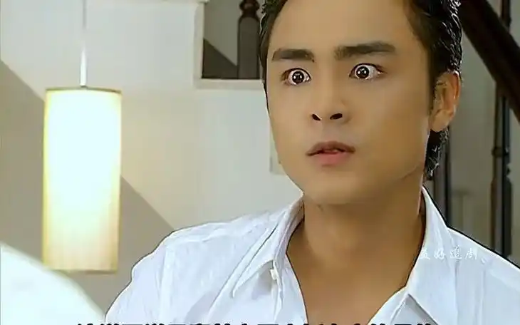 23《王子变青蛙》陈乔恩捡到霸气总裁明道,养着养着却变成了青蛙