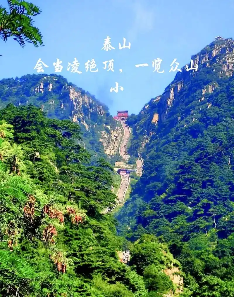 云雾缭绕人间仙境 #带你看风景 中国五大山峰#总能一个个实 - 抖音
