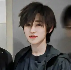 就很符合原本我以为这两张图片是一张文轩合照,后面我才发现,原来来自