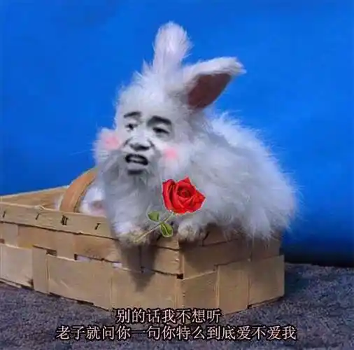 别的话不想听,老子就问你一句你特么到底爱不爱我_爱不爱_老子_不想